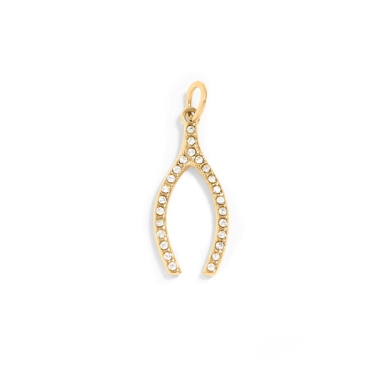 WishGleam™ Pendant – 18K Gold & Silver Stainless Steel Wishbone Charm with CZ Stones | Luck, Hope & Positivity Jewelry by Nemosn